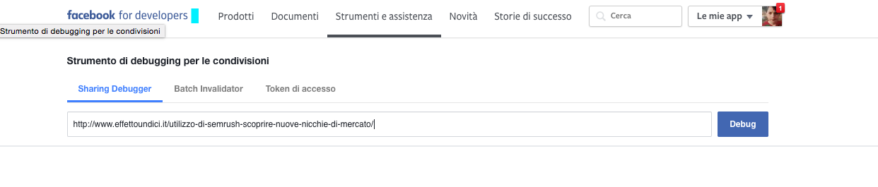 Problemi Immagine WordPress con Facebook