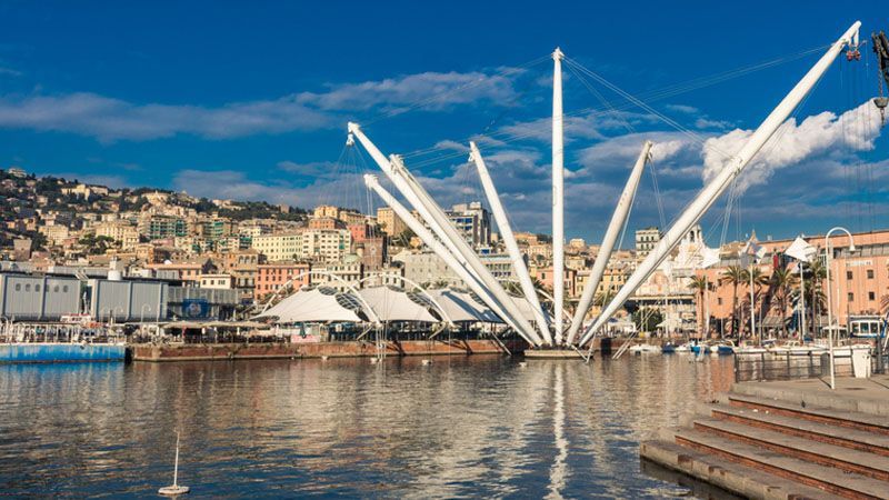 web marketing Genova