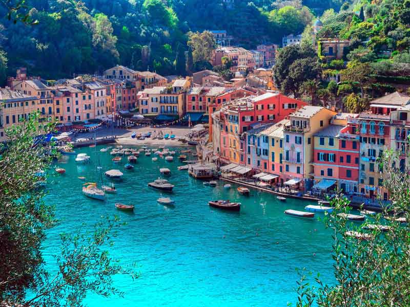 seo liguria