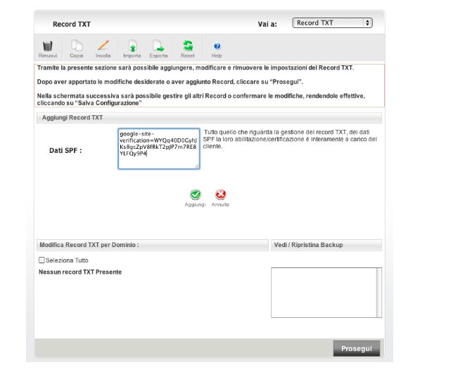 verificare DNS su Console Search